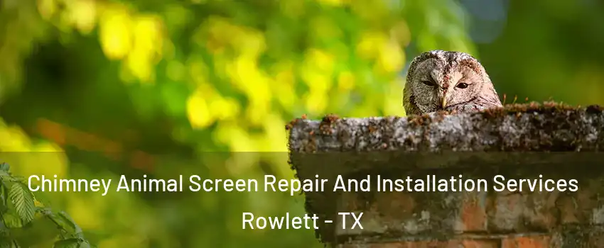  Chimney Animal Screen Repair And Installation Services Rowlett - TX