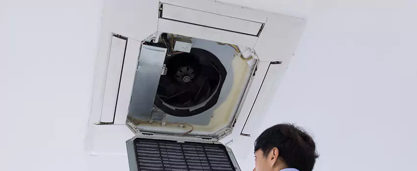 Benefits of Professional Air Duct Cleaning in Rowlett, Texas