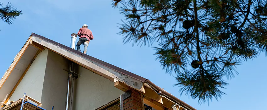 Birds Removal Contractors from Chimney in Rowlett, TX